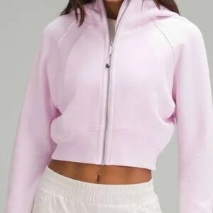 LULULEMON SCUBA FULL ZIP CROPPED HOODIE NWT SIZE 12 in MEADOWSWEET PINK